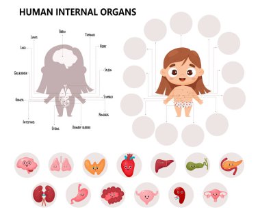 Anatomi insan vücudu. Çocuk karikatürleri tıbbi bilgi grafikleri. Sevimli kız ve görsel şema iç organ karakterleri, isimler ve mekanlar. Vektör çizimi. Eğitimsel biyolojik yatay poster