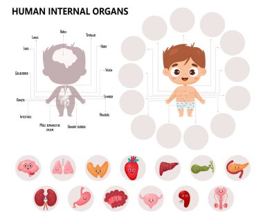 Anatomi insan vücudu. Çocuk karikatürleri tıbbi bilgi grafikleri. Yakışıklı çocuk ve görsel şema erkek organları karakterler, isimler ve mekanlar. Vektör çizimi. Eğitimsel biyolojik yatay poster