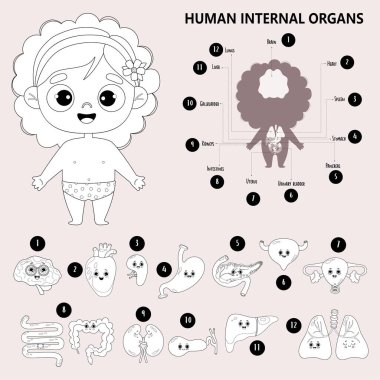 Çocuk anatomisi insan vücudu. Sevimli kız ve görsel entrika iç organları. Komik karakterler, isimler ve mekanlar. Tıbbî bilgiler. Vektör çizimi. Özet geç, el çizimini renklendir