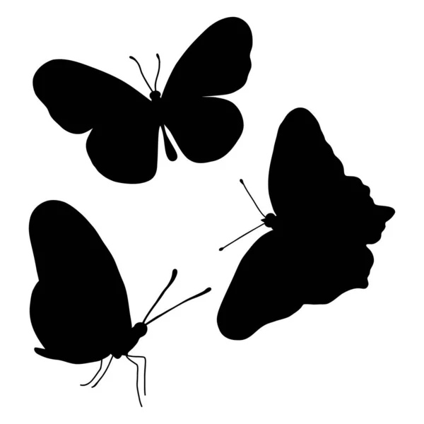 Sbírka Siluet Motýla Vektorová Ilustrace Izolovaný Okřídlený Hmyz Bílém Pozadí — Stockový vektor