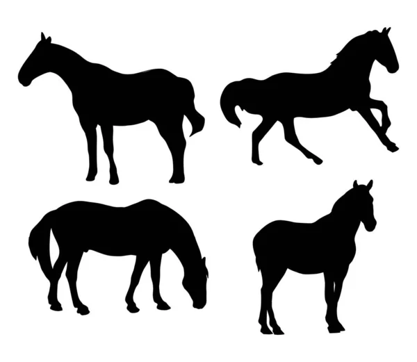 Siluet Koleksiyonu Atları Vektör Çizimi Tasarım Için Beyaz Arkaplana Hayvan — Stok Vektör