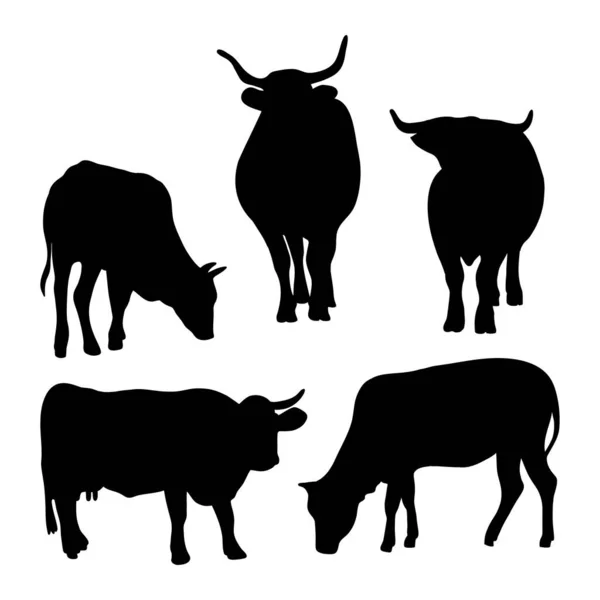 Sığır Siluetleri Koleksiyonu Evcil Çiftlik Hayvanları Boğa Inek Öküz Vektör — Stok Vektör