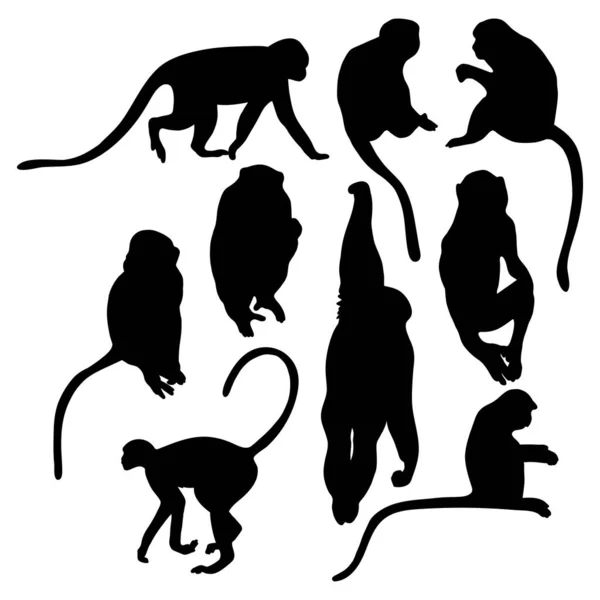 Collection Silhouettes Monkey Vector Illustration Isolated Primates White Background — Stock Vector