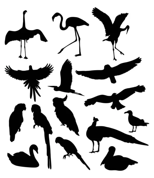Συλλογή Από Σιλουέτες Πουλιών Τροπικά Θαλάσσια Πουλιά Και Πουλερικά Άγρια — Διανυσματικό Αρχείο