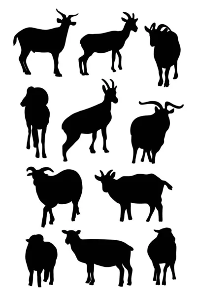 Collezione Silhouette Ariete Capra Illustrazione Vettoriale Disegni Mano Isolati Animali — Vettoriale Stock