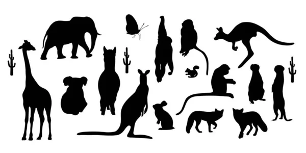 コレクションシルエット野生動物 ベクトルイラスト デザインのための白い背景に熱帯アフリカゾウとキリン Meerkat ラマとカンガルーを分離手描き — ストックベクタ