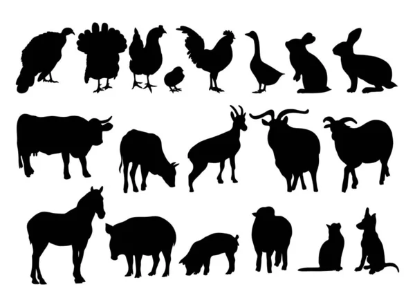 Insamling Silhuetter Husdjur Husdjur Och Fjäderfä Fåglar Vektorillustration Isolerade Handritningar — Stock vektor