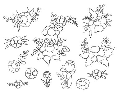 Koleksiyon çiçek ve dalları özetliyor. Vektör çizimi. İzole edilmiş doğrusal çizilmiş bitkiler