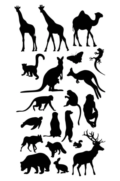 シルエット動物のコレクション ベクトルイラスト 隔離された手の絵熱帯アフリカキリン Meerkat カンガルーと森林捕食者クマ キツネとオオカミを白い背景に描きます — ストックベクタ