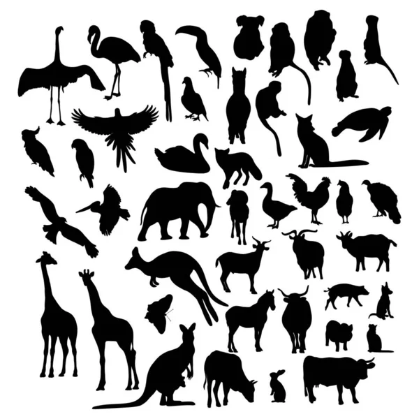 Grote Collectie Silhouetten Dieren Vogels Vector Illustratie Geïsoleerde Handtekeningen Witte — Stockvector