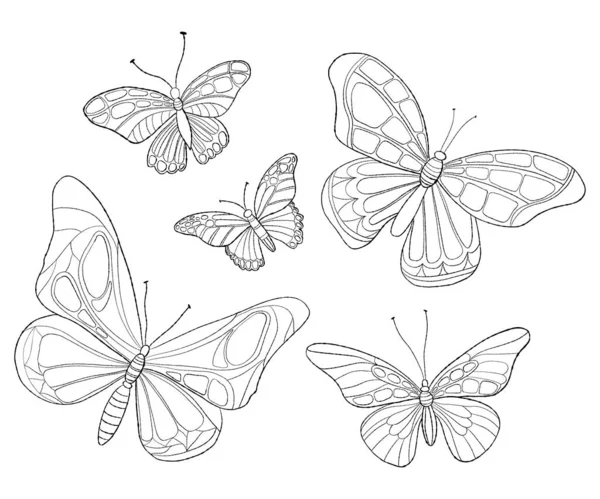 Collection Beaux Papillons Dessin Linéaire Main Insecte Volant Illustration Vectorielle — Image vectorielle