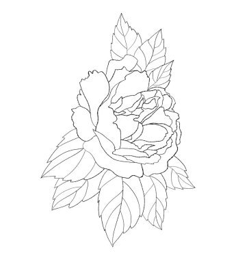 Çiçek gülü. Vektör çizimi. dizayn, dekor ve dekorasyon için bitkisel tomurcuk çizilmiş doğrusal el