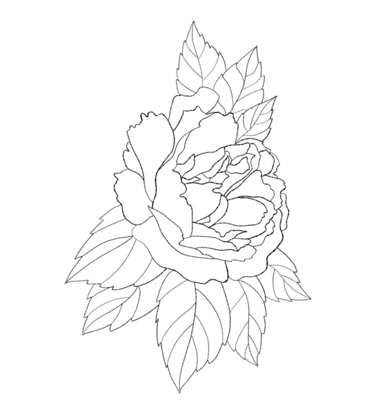 Flor Rosa Ilustração Vetorial Botão Floração Planta Desenhada Mão Linear —  Vetores de Stock