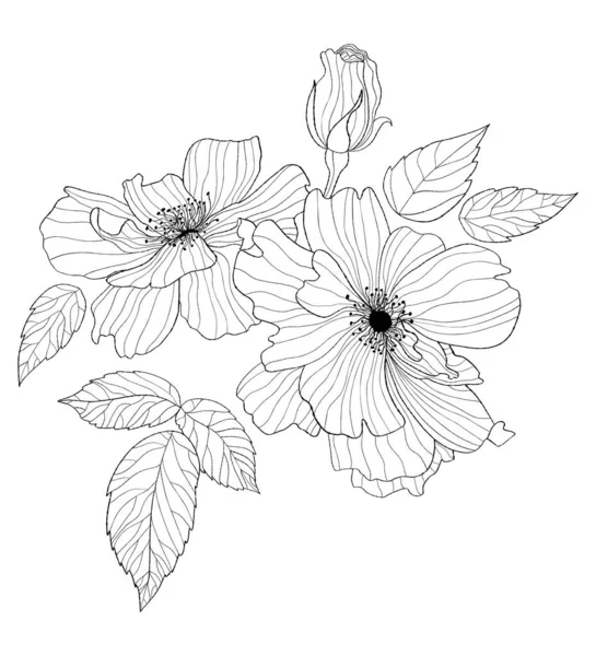 花儿绽放 手拉手矢量图解 线形植物 叶和枝 用于设计 装饰和装饰 — 图库矢量图片