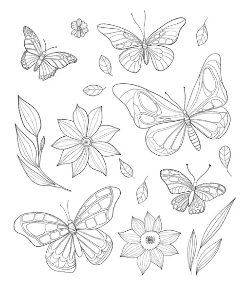 Colección Botánica Hermosas Mariposas Flores Hojas Dibujo Lineal Mano Ilustración — Vector de stock