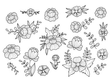 Çiçekler ve dallar. Büyük koleksiyon el çizimi. Vektör çizimi. İzole edilmiş doğrusal bitkiler ve çiçek düzenlemeleri