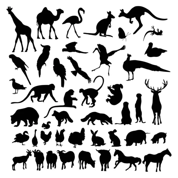 Velká Sbírka Siluet Zvířat Ptáků Vektorová Ilustrace Izolované Ruční Kresby — Stockový vektor
