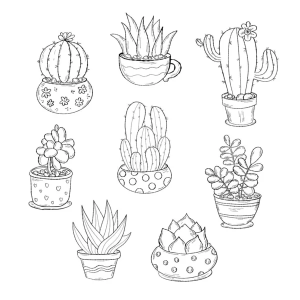 Kollektion Skissera Tropiska Krukväxt Kaktus Blomkrukor Vektorillustration Isolerade Linjära Handritningar — Stock vektor