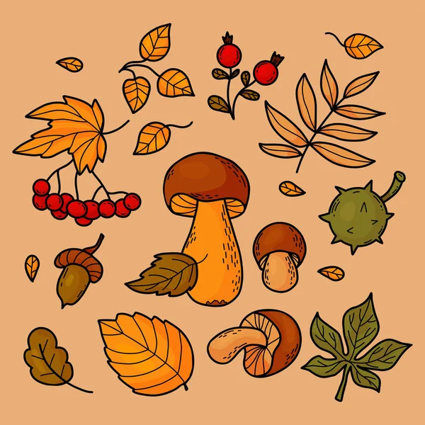 Collection Autumn Leaves Forest Mushrooms Berries Chestnut Acorn Mountain Ash — Stock Vector