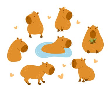 Şirin Capybara hayvan koleksiyonu. İzole edilmiş komik hayvan karakteri kemirgeni. Düz bir şekilde vektör illüstrasyonu. çocuk koleksiyonu