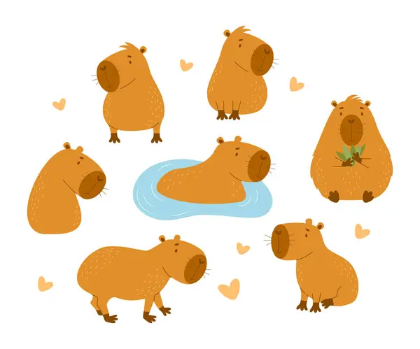 Şirin Capybara hayvan koleksiyonu. İzole edilmiş komik hayvan karakteri kemirgeni. Düz bir şekilde vektör illüstrasyonu. çocuk koleksiyonu