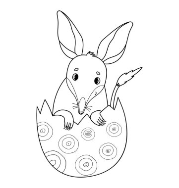 Cute Easter bilby in egg. Australian animal. Linear, outline drawing, coloring book. Kids collection. Vector illustration clipart