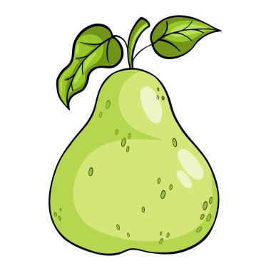 Yapraklı yeşil armut meyvesi. Vektör çizimi el çizimi