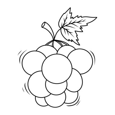 Yapraklı üzümleri ana hatlarıyla okşa. Mevsimlik meyve. Çizgi çizimi, boyama kitabı. Vektör çizimi. Çocuk koleksiyonu