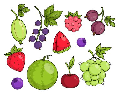 Mevsimlik meyve koleksiyonu. Üzüm, çilek, üzümlü, üzümlü, üzümlü ve ahududulu, kirazlı, yaban mersinli ve karpuzlu. Ayrı renkte el çizimleri. Vektör illüstrasyonu