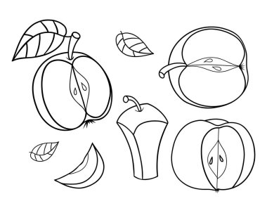 Taslak Elma ayarlandı. Doğrusal el çizimleri. Meyve kes, dilimle, yarısı ve yapraklar. Beyazın üzerindeki izole elementler. Vektör çizimi. Boyama sayfası. Çocuk koleksiyonu