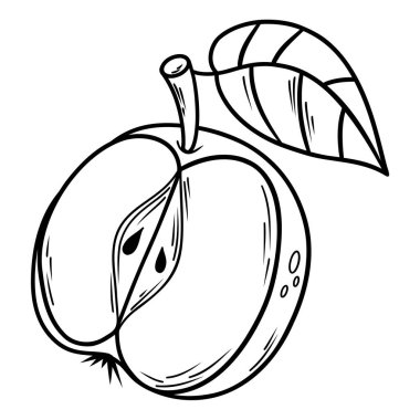 Elmanın yarısını yaprakla kes. Çizgi çizen doğrusal el. Vektör çizimi. Renk Sayfası