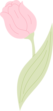 Pembe Lale Bahar Çiçeği