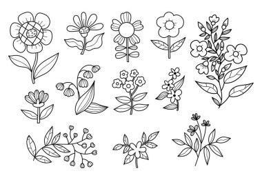 Botanik taslak çizimleri. Mevsimlik dekorasyon çiçekleri, dallar, yapraklar, buketler, papatyalar, ve vadilerin zambakları ve tomurcuklar. Tasarım için izole edilmiş doğrusal el çizimleri. Vektör illüstrasyonu