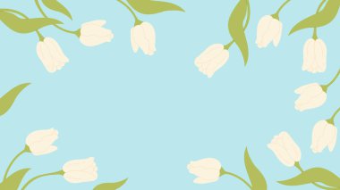 Yumuşak Mavi Arkaplanda Beyaz laleli Çiçek çerçeveli Poster. Metin için kopyalama alanı olan yatay şablon. Bahar zamanı, düğün davetiyesi konsepti. Vektör çizimi. Kart ve pankart için tasarım