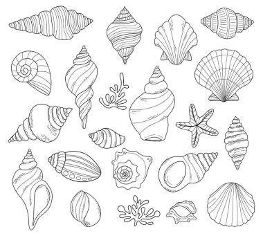 Kabuk taslağı hazır. İzole edilmiş deniz kabuğu, yıldız ve mercanlar. Doğrusal el beyaz arka plana karalama çiziyor. Vektör illüstrasyonu