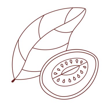 Ana hatlarıyla Guava Fruit. Kesilmiş dilim ve yaprak tropikal bahçe ağacı. Çizgi çizimi, boyama kitabı. Vektör illüstrasyonu