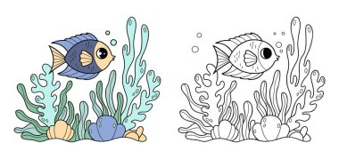 Deniz yatağı ve mercan kayalıklarında algler ve mercanlarla çok güzel tropikal balıklar. Taslak ve renk çizimi. Boyama sayfası. Vektör çizimi. Çocuk koleksiyonu. Yapay zeka değil
