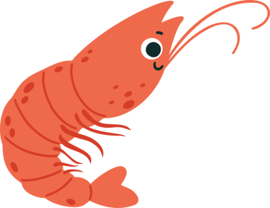 Karides. Şirin su altı hayvanı.