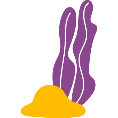 Tropikal Deniz Bitkisi Yosun