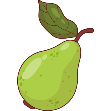 Yapraklı yeşil tropik Guava Meyve Ağacı