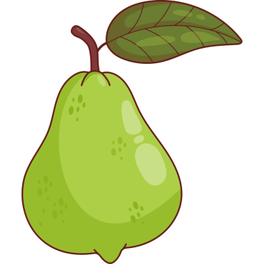 Yapraklı yeşil tropik Guava Meyve Ağacı