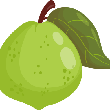 Guava Yeşil Meyve Ağacı