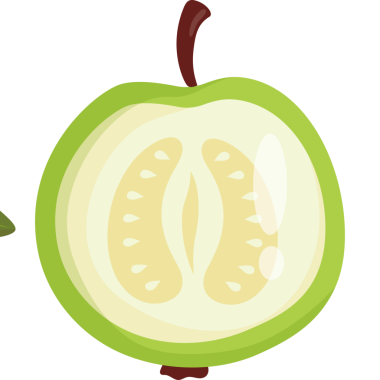 Beyaz yarı Guava Meyve Ağacı