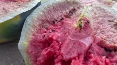 Kırık karpuzların ayrıntıları haşere, aşırı sulama, sulama eksikliği, toprak kirliliği. Sinekler ve diğer böcekler tepemizde uçar. Dikey olarak yakınlaştır. Yüksek kalite 4k görüntü