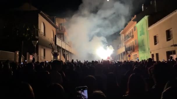 Kalabalık Gece Boyunca Havai Fişek Gösterisine Hayran Kalırken Ateş Ejderhası — Stok video