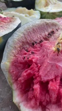 Topraktaki karpuza yakın, haşere, aşırı sulama, sulama eksikliği ya da toprak kirliliği nedeniyle çatlamış. Uzaklaş. Dünya çapında kıtlık kavramı. Yüksek kaliteli FullHD görüntüler