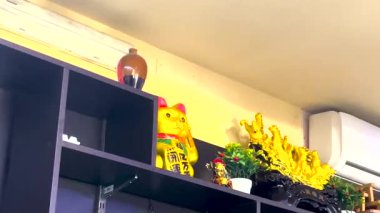Maneki Neko Japon şanslı kedisi bir suşi restoranında rafta. Altın Kedi heykeli iyi şans getirir, Japonya, Çin, Asya, Kültür.