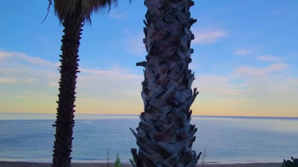 美丽沙滩上海边椰子树的夏天背景 蓝天和云彩的自然景观 绿椰树上的夕阳西下 — 图库视频影像