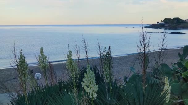 ターコイズ暖かい海とカラブリアの海岸 イタリア 南イタリアで素晴らしい自由時間の休暇 — ストック動画