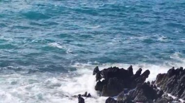 Okyanus Dalgaları. Okyanus Dalgaları ile yüzmek İtalyan güneşinin aydınlattığı Calabria 'daki Diamante Tropikal Sahili' ndeki Kayaların Kıyısında Kırılan Büyük Kayalarla Çarpışıyor..